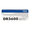 DR-3600 Tambour pour imprimante Brother