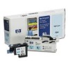 HP Tête d'impression C4954A Light Cyan No.81 pour traceur Designjet 5000