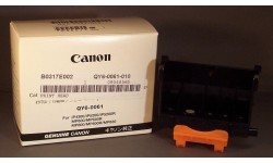 QY6-0061 Tête d'impression pour imprimante Canon ip5200 ip5200R ip4300 MP800 MP830 MP600