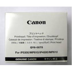 QY6-0075 Tête d'impression pour imprimante Canon ip4500 / ip5300 / MP810 / MP610 / MX850