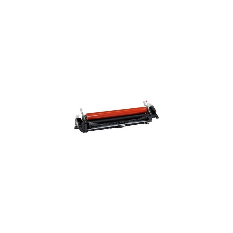 LJB858001 - FUSER UNIT (230V) Bother